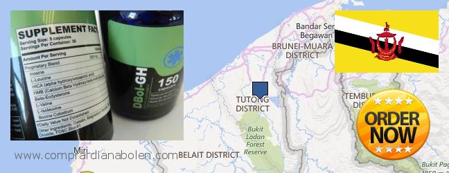 Best Place to Buy Dianabol HGH online Tutong, Brunei